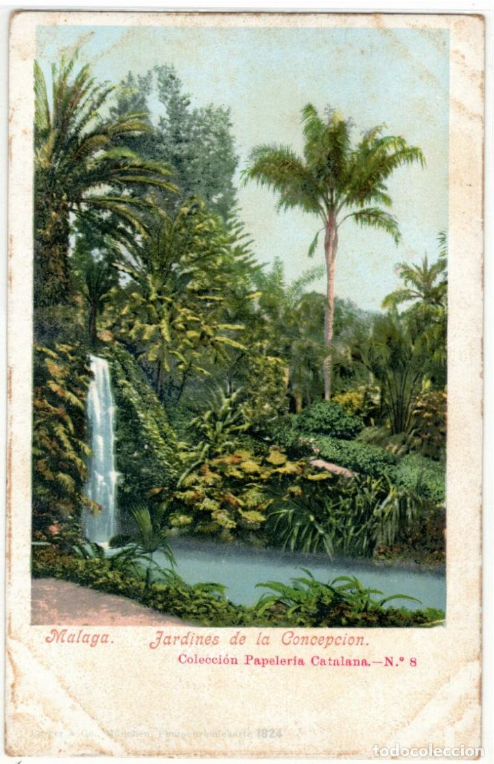 Postales: PRECIOSA POSTAL - MALAGA - JARDINES DE LA CONCEPCION - COLECCION PAPELERIA CATALANA N&ordm;. 8