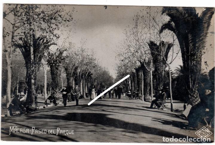 Cartoline: PRECIOSA POSTAL FOTOGRAFICA - MALAGA - PASEO DEL PARQUE - MUY AMBIENTADA