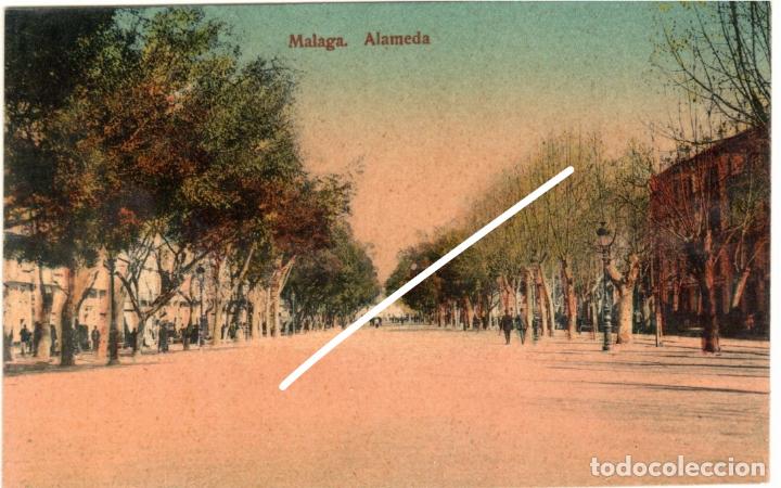 Postales: PRECIOSA POSTAL - MALAGA - ALAMEDA