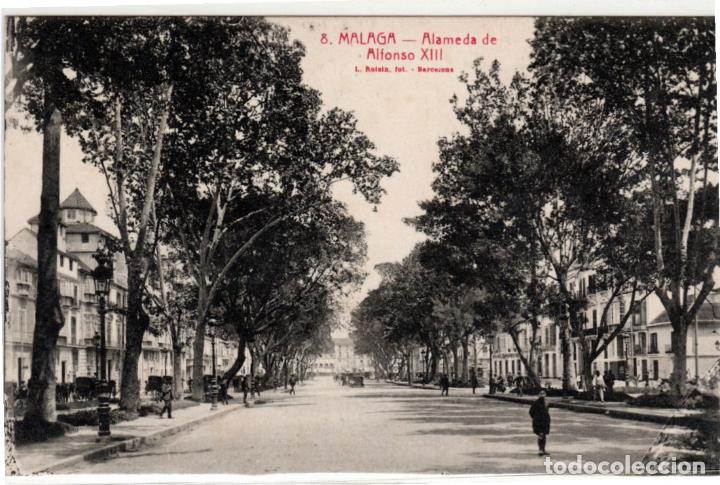 Postales: BONITA POSTAL - MALAGA - ALAMEDA DE ALFONSO XIII