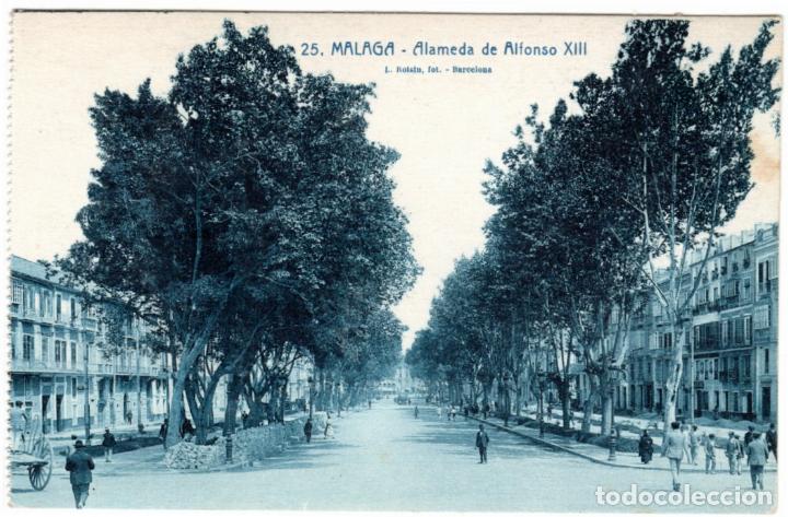 Postales: BONITA POSTAL - MALAGA - ALAMEDA DE ALFONSO XIII