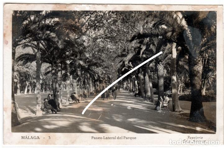 Postales: BONITA POSTAL - MALAGA - PASEO LATERAL DEL PARQUE