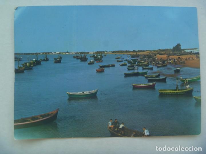 Postales: POSTAL DE SANLUCAR DE BARRAMEDA ( CADIZ ): BAJO DE GUIA, VENTA DE PESCADO . A&Ntilde;OS 60