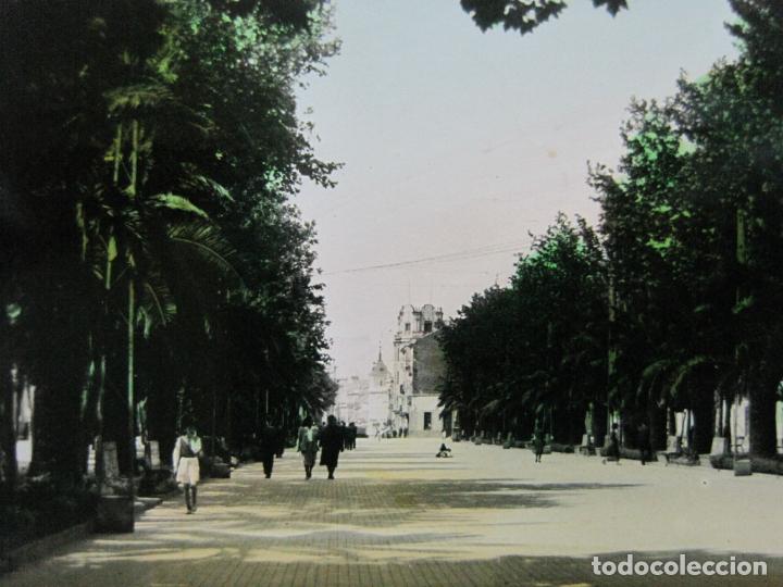 Postales: LINARES-PASEO DE LINAREJOS-PRIMER TROZO-ED&middot;PAP SEGUNDO-FOTOGRAFICA-POSTAL ANTIGUA-(74.552)