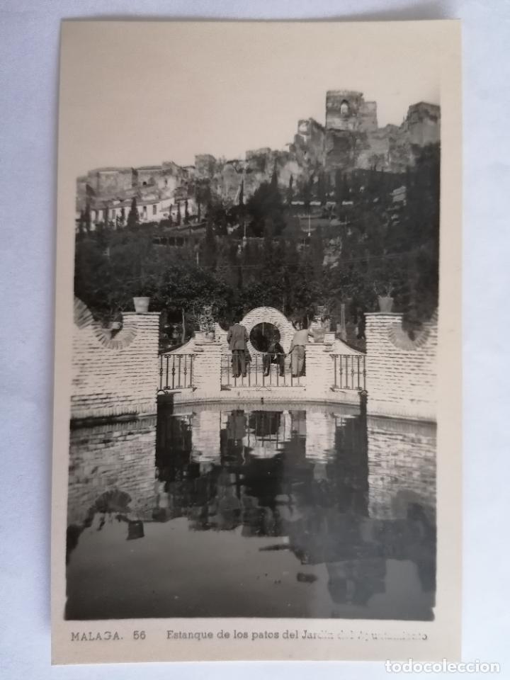 Postales: POSTAL MALAGA, ESTANQUE DE LOS PATOS DEL JARDIN DEL AYUNTAMIENTO
