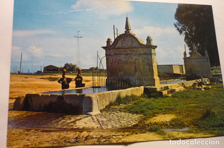 Postales: POSTAL HINOJOSA DEL DUQUE.-PILAR