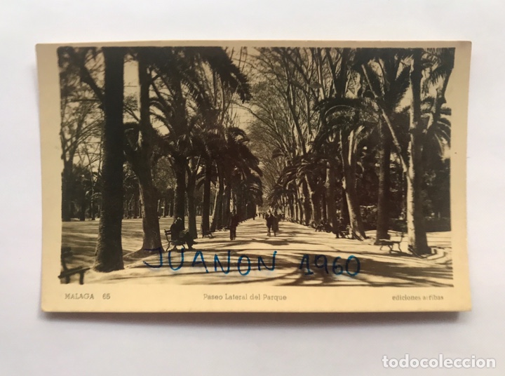 Postales: MALAGA. Postal No.65, Paseo lateral del Parque. Edic. Arribas (h.1940?) S/C