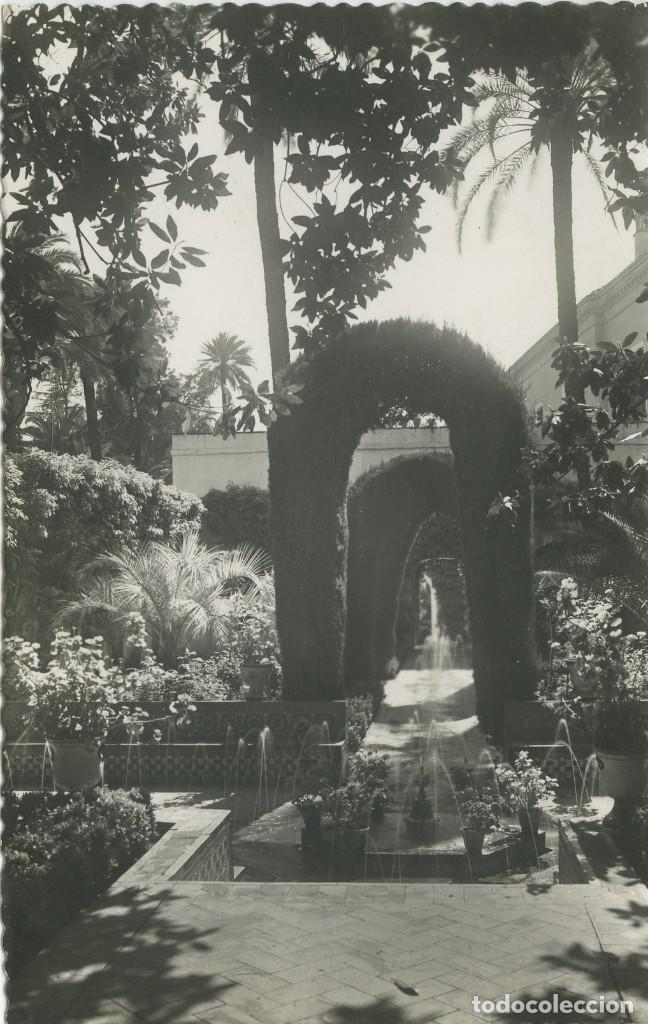 Postales: N&ordm; 182-SEVILLA. Reales Alc&aacute;zares. Jardines... A&ntilde;os 40-50. Sin circular. EDICIONES GARC&Iacute;A GARRABELLA