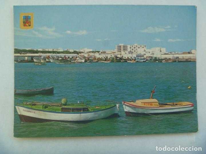 Postales: POSTAL DE BARBATE DE FRANCO ( CADIZ ): PUERTO PESQUERO. A&Ntilde;OS 60