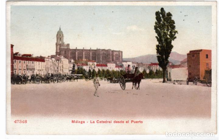 Postcards: PRECIOSA POSTAL - MALAGA - LA CATEDRAL DESDE EL PUERTO