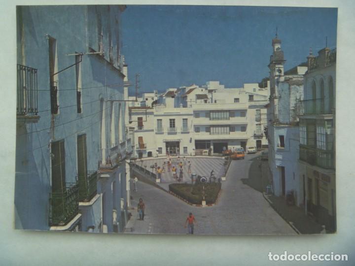 Postales: POSTAL DE ALCALA DE LOS GAZULES ( CADIZ ) : ALAMEDA. 1977