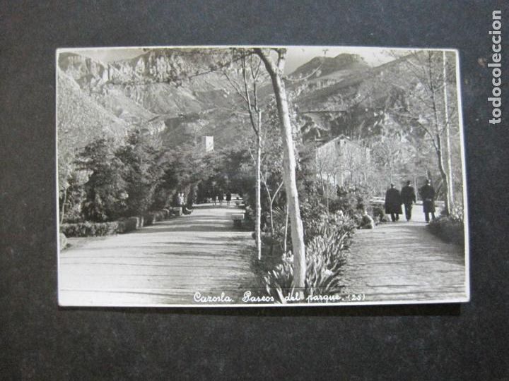 Postales: CAZORLA-PASEOS DEL PARQUE-LABORATORIOS FOTOGRAFICOS SAN ANTONIO-POSTAL ANTIGUA-(76.209)