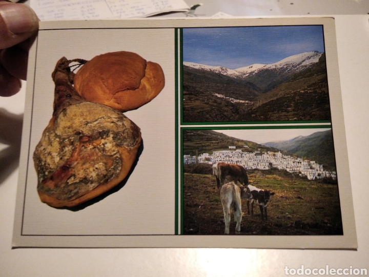 Alpujarra Trev&eacute;lez