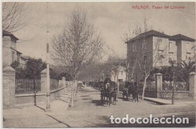 Postales: POSTAL ANTIGUA DE MALAGA. PASEO DEL LIMONAR P-ANMA-1087
