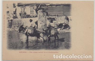 Postales: POSTAL ANTIGUA DE MALAGA. UNA ESCENA NATURAL EN EL GUADALMEDINA P-ANMA-1115