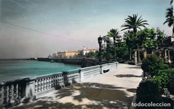 Postales: C&aacute;diz. Alameda Marques de Comillas - Foto 1