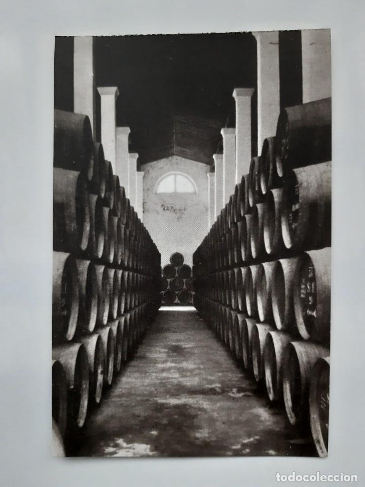 Postales: ANTIGUA POSTAL BODEGAS PALOMINO & VERGARA JEREZ DE LA FRONTERA ANDANA ALMACENADO DE VINOS