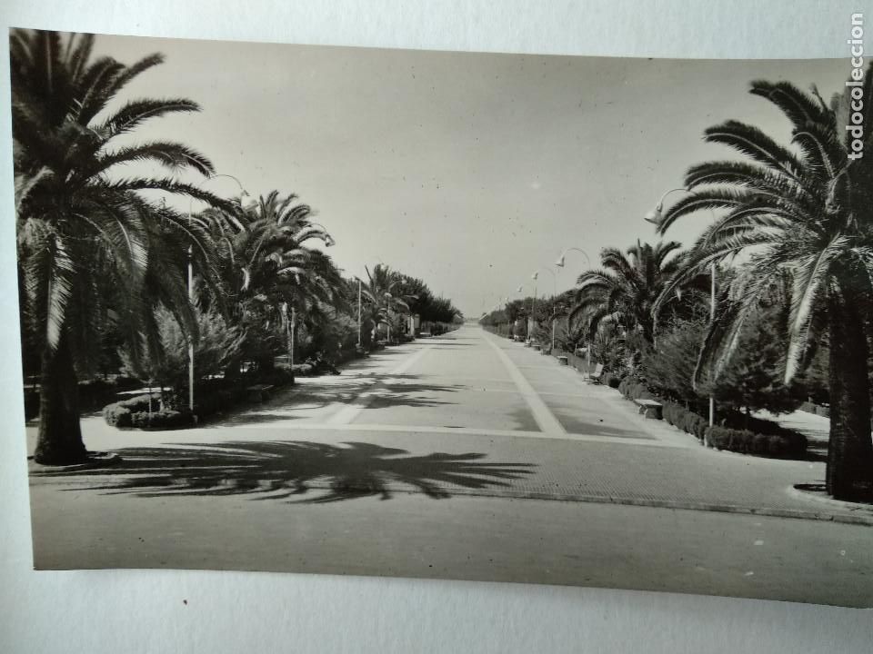 Postales: CADIZ - SANLUCAR DE BARRAMEDA CALZADA DEL EJERCITO, Foto A.Campa&ntilde;a y Puig Ferr&aacute;n.