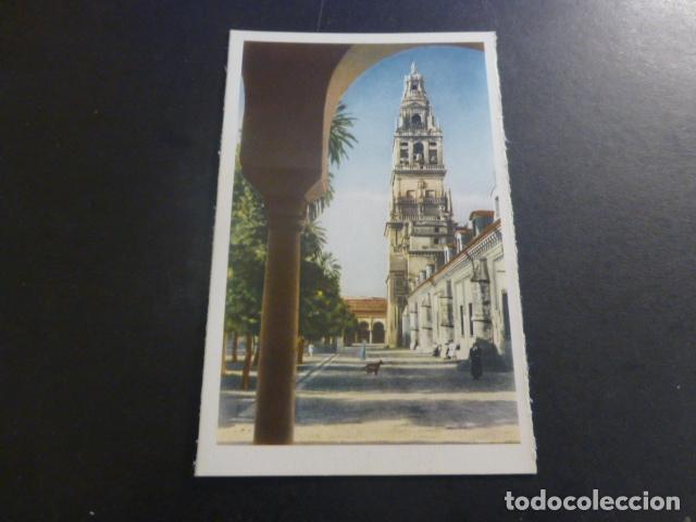 Postales: CORDOBA CATEDRAL - Foto 1