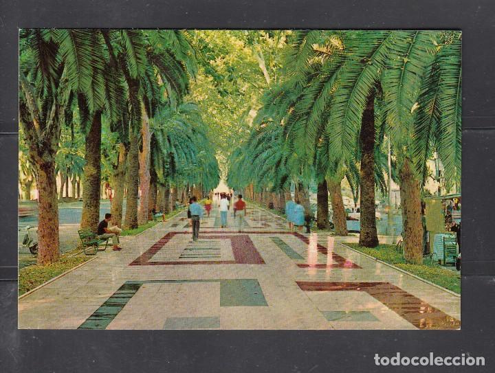 Postales: 1.384.- MALAGA. PASEO DEL PARQUE