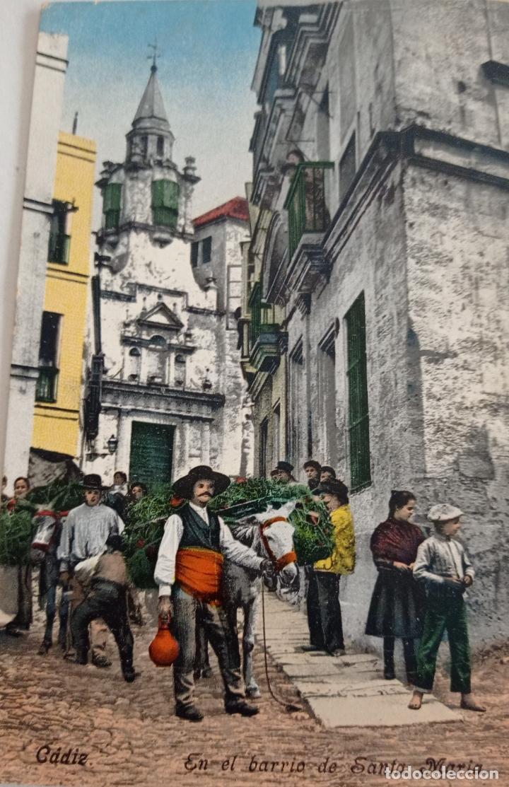 Postales: CADIZ,EN EL BARRIO DE SANTA MARIA