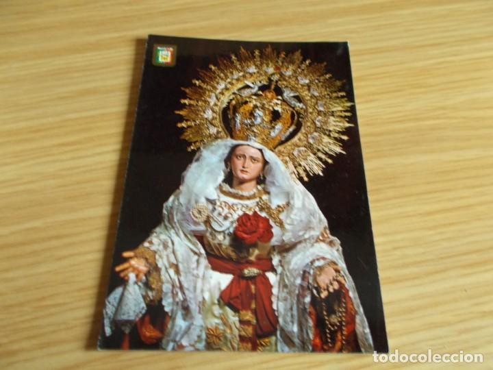 Postales: MALAGA -- MARIA SANTISIMA DE LA AMARGURA ( ZAMARRILLA )