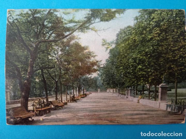Postales: GIBRALTAR, ALAMEDA GARDENS. - Foto 1