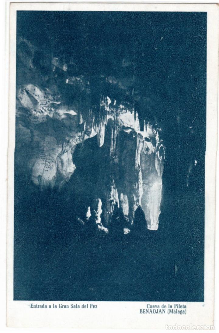 Postales: BONITA POSTAL - BENAOJ&Aacute;N (MALAGA) - CUEVA DE LA PILETA - ENTRADA A LA GRAN SALA DEL PEZ