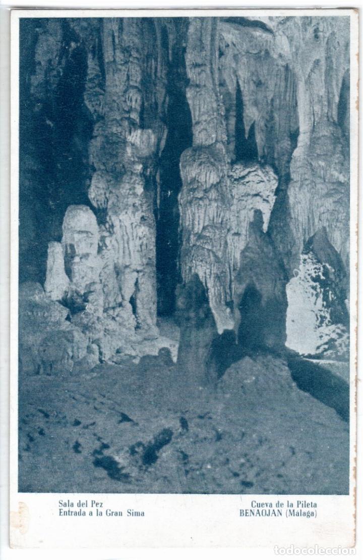 Postales: BONITA POSTAL - BENAOJ&Aacute;N (MALAGA) - CUEVA DE LA PILETA - SALA DEL PEZ - ENTRADA A LA GRAN SIMA