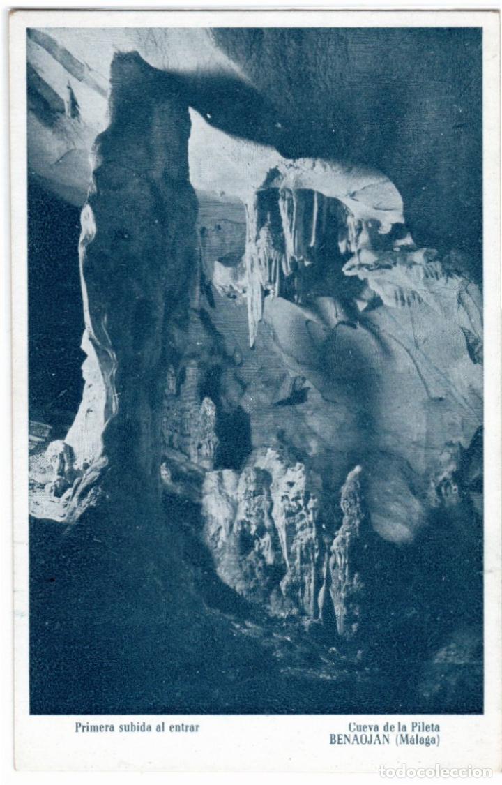 Postales: BONITA POSTAL - BENAOJ&Aacute;N (MALAGA) - CUEVA DE LA PILETA - PRIMERA SUBIDA AL ENTRAR