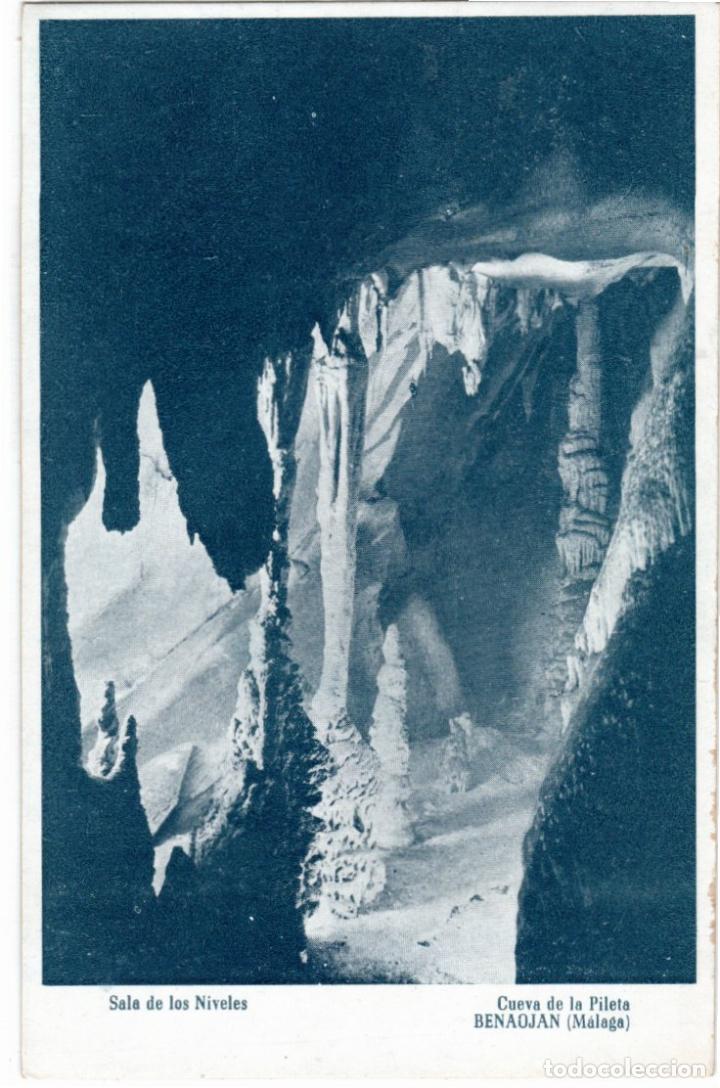 Postales: BONITA POSTAL - BENAOJ&Aacute;N (MALAGA) - CUEVA DE LA PILETA - SALA DE LOS NIVELES