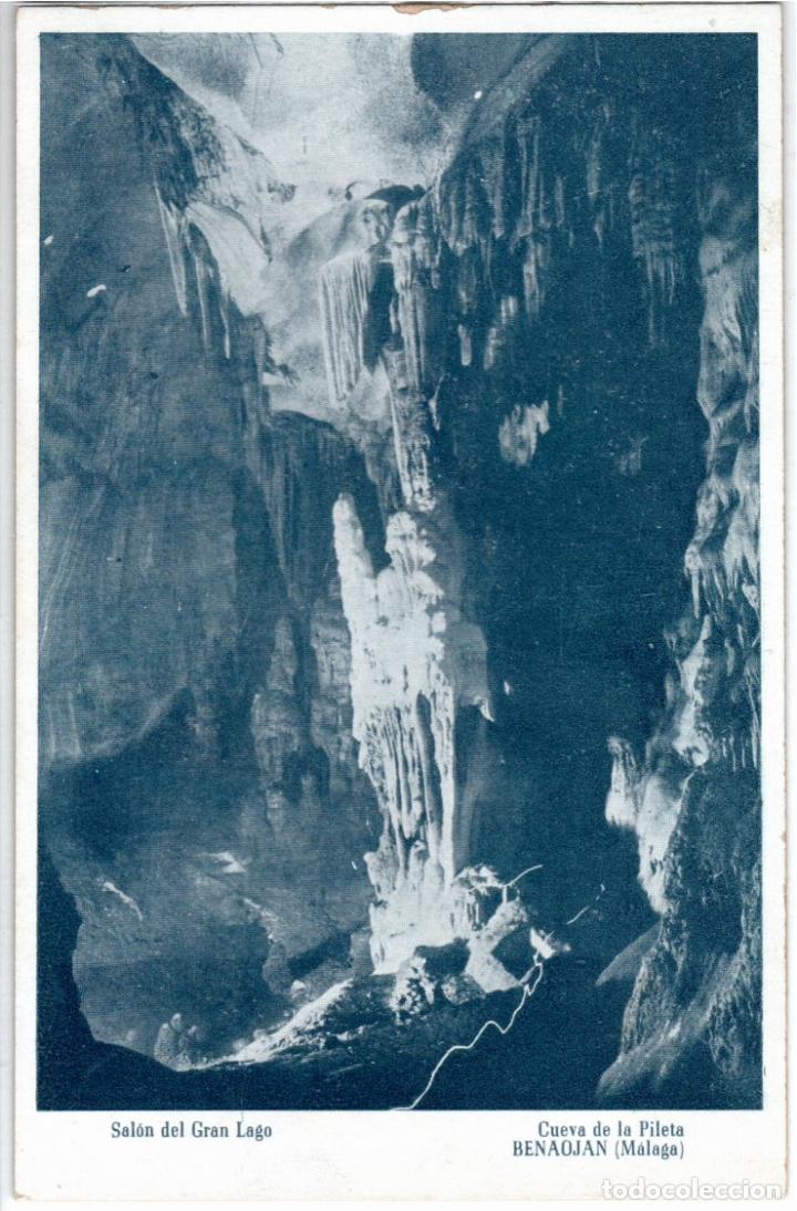 Postales: BONITA POSTAL - BENAOJ&Aacute;N (MALAGA) - CUEVA DE LA PILETA - SALON DEL GRAN LAGO