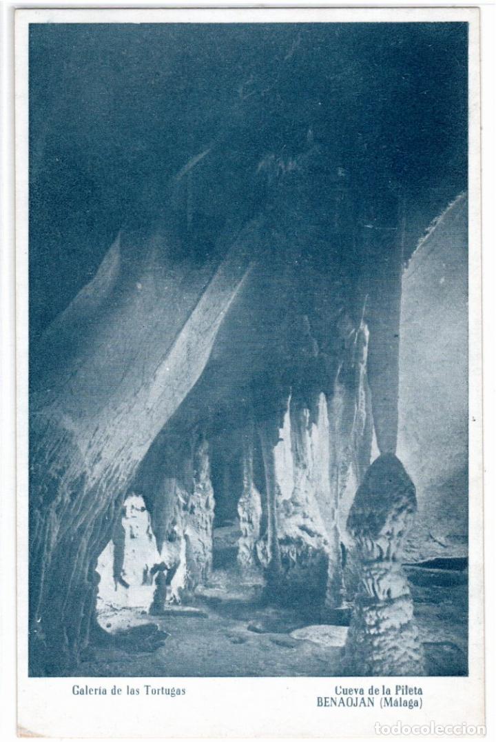 Postales: BONITA POSTAL - BENAOJ&Aacute;N (MALAGA) - CUEVA DE LA PILETA - GALERIA DE LAS TORTUGAS