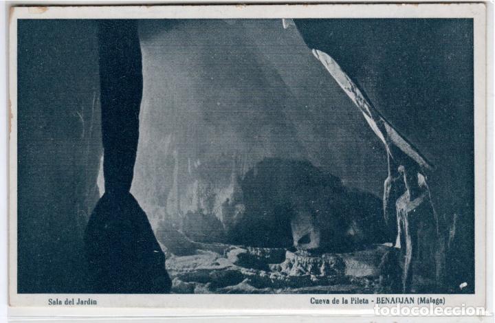 Postales: BONITA POSTAL - BENAOJ&Aacute;N (MALAGA) - CUEVA DE LA PILETA - SALA DEL JARDIN