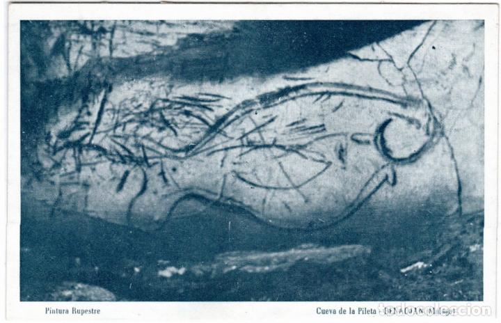 Postales: BONITA POSTAL - BENAOJ&Aacute;N (MALAGA) - CUEVA DE LA PILETA - PINTURA RUPESTRE
