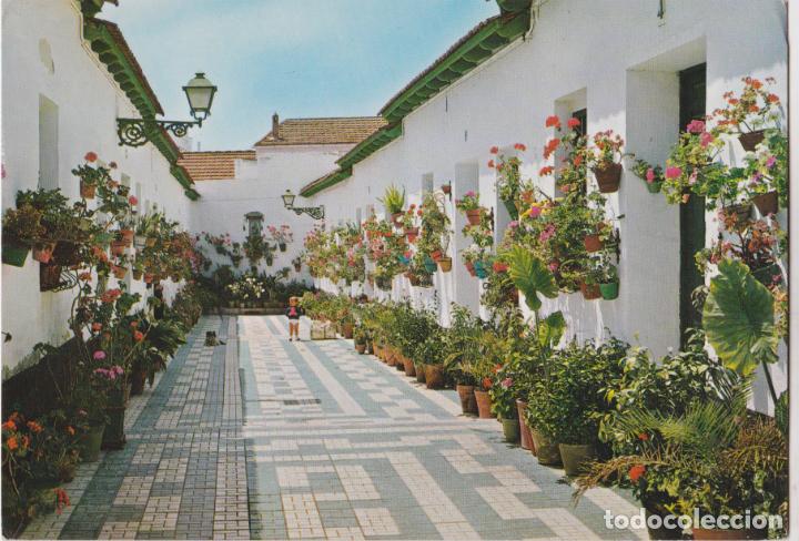 Postales: MALAGA, CALLE BLAS PALOMO - GARCIA GARRABELLA N&ordm;58 - EDITADA EN 1964 - S/C