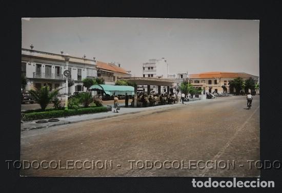 Postales: POSTAL LA LINEA DE LA CONCEPCION PARADA DE AUTOBUSES PLAZA GENERAL FRANCO . CA 1960