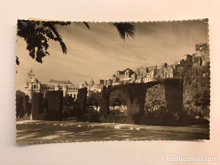 Postales: MALAGA. Postal No.12, Jardines de Puerta Oscura y Alcazaba. Edic., Garcia Garrabella (h.1950?)
