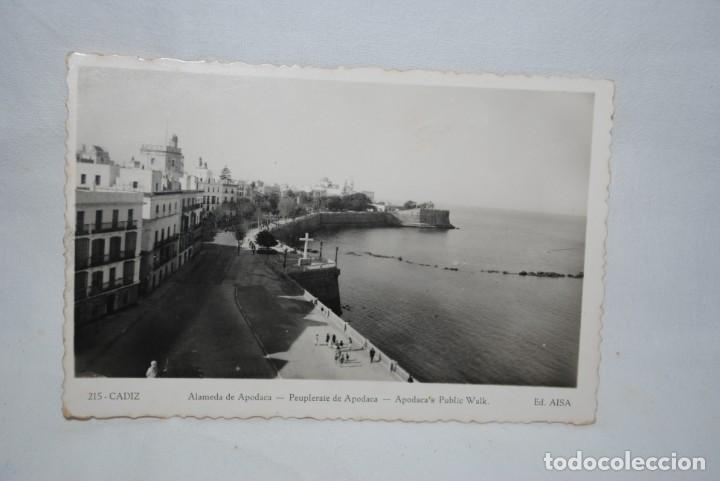Postales: CADIZ , ALAMEDA DE APODACA , CRUZ DE LOS CAIDOS .
