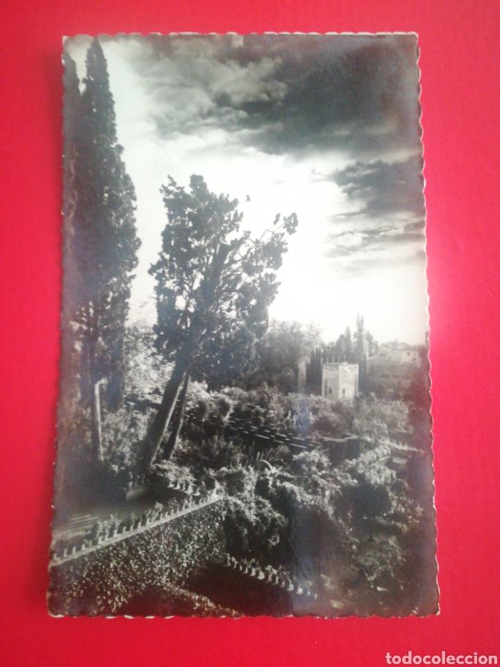 Postales: GRANADA, Jardines del Generalife. Sin circular - Foto 1