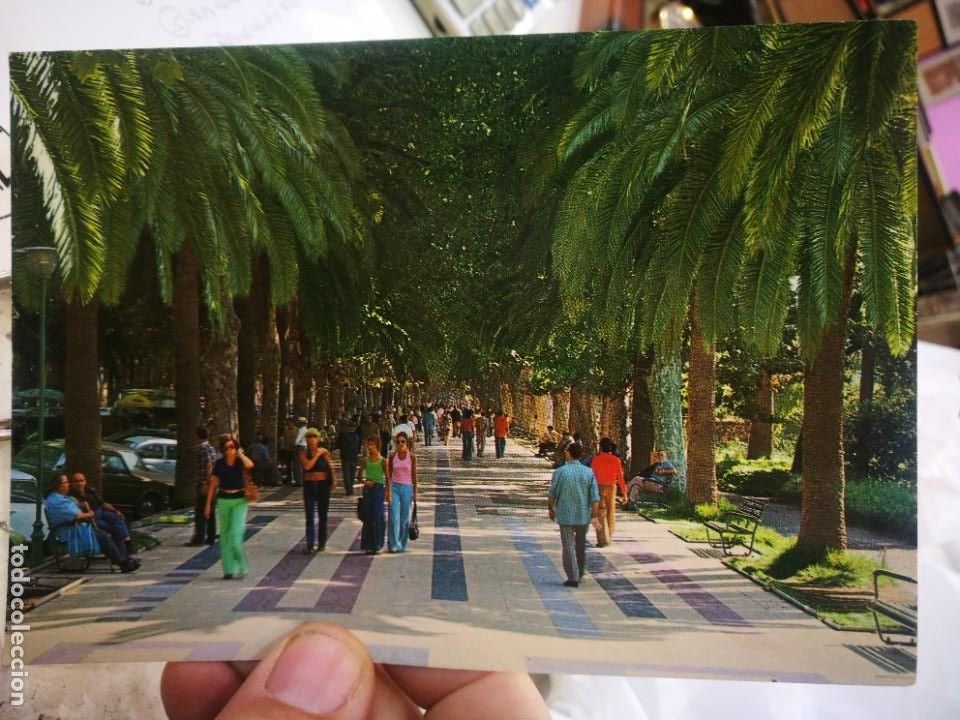 Postales: Postal MALAGA Costa del Sol Paseo del Parque N 1004 BAENA S/C
