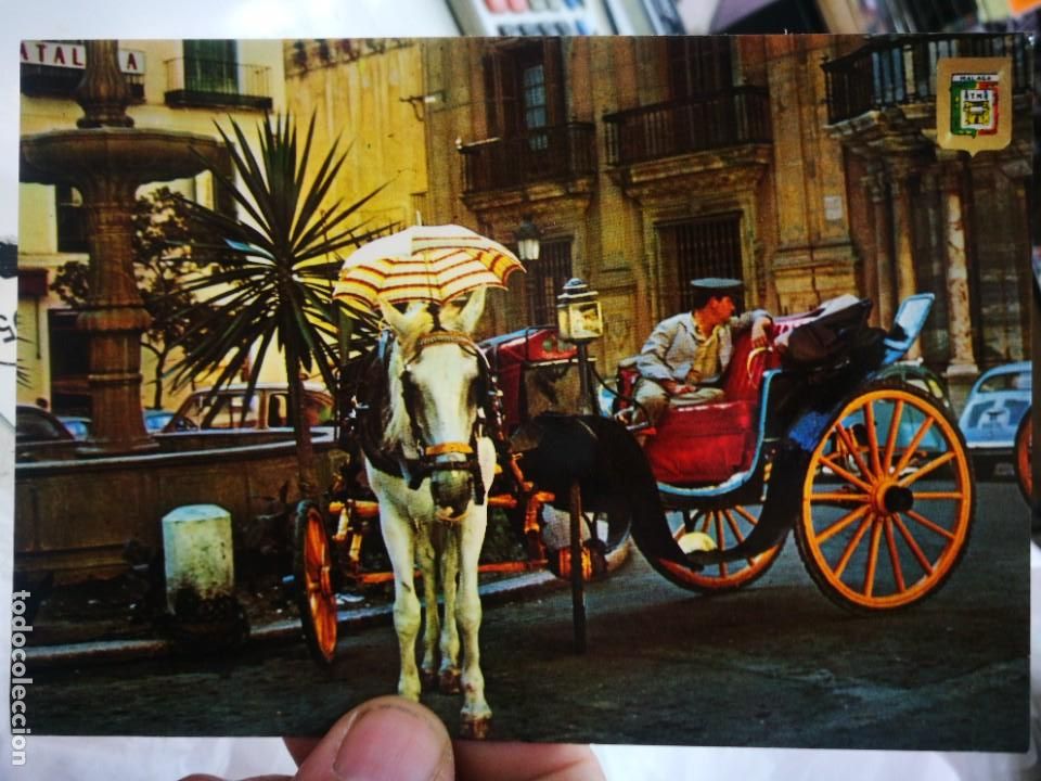 Postales: Postal MALAGA Costa del Sol Plaza del Obispo N 88 DOMINGUEZ S/C