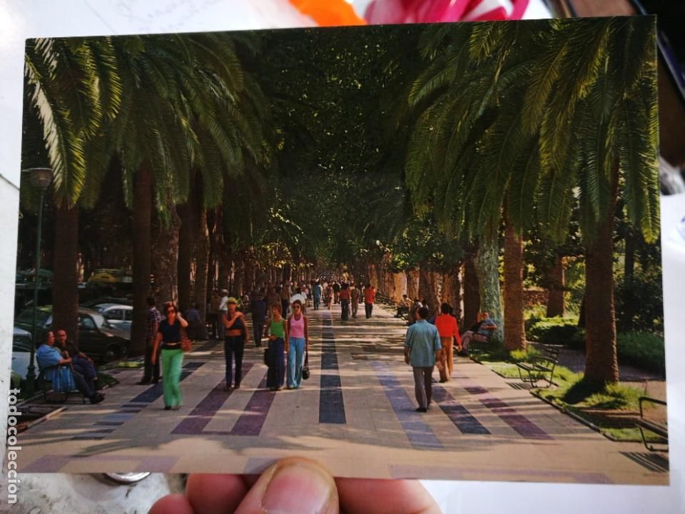 Postales: Postal MALAGA Costa del Sol Paseo del Parque N 1004 EDISOL S/C