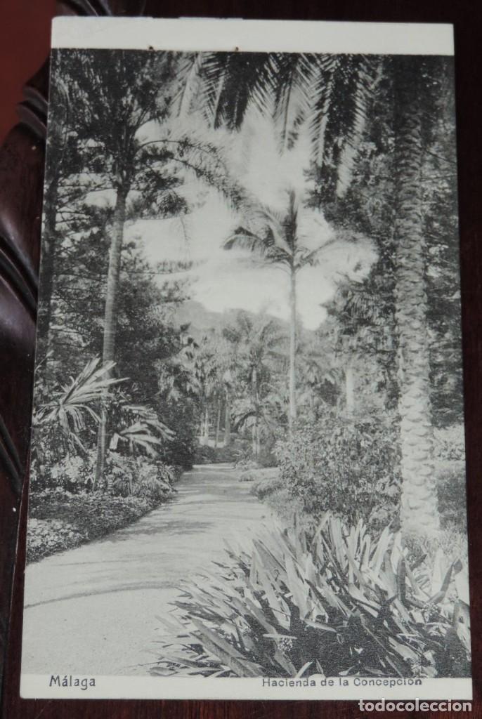 Postales: POATAL DE MALAGA, HACIENDA DE LA CONCEPCION, ED.DOMINGO DEL RIO, N.44, NO CIRCULADA.