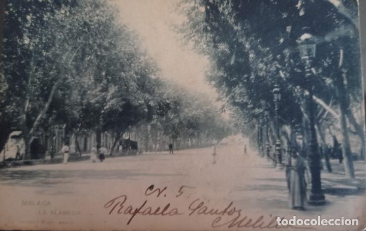 Postales: MALAGA, LA ALAMEDA, ENVIADA AL FAMOSO FOTOGRAFO ARGENTINO RENE HARDY