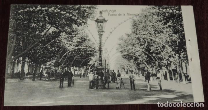 Postales: POSTAL DE MALAGA, PASEO DE LA ALAMEDA, EDICIONES DOMINGO DEL RIO, NO CIRCULADA.