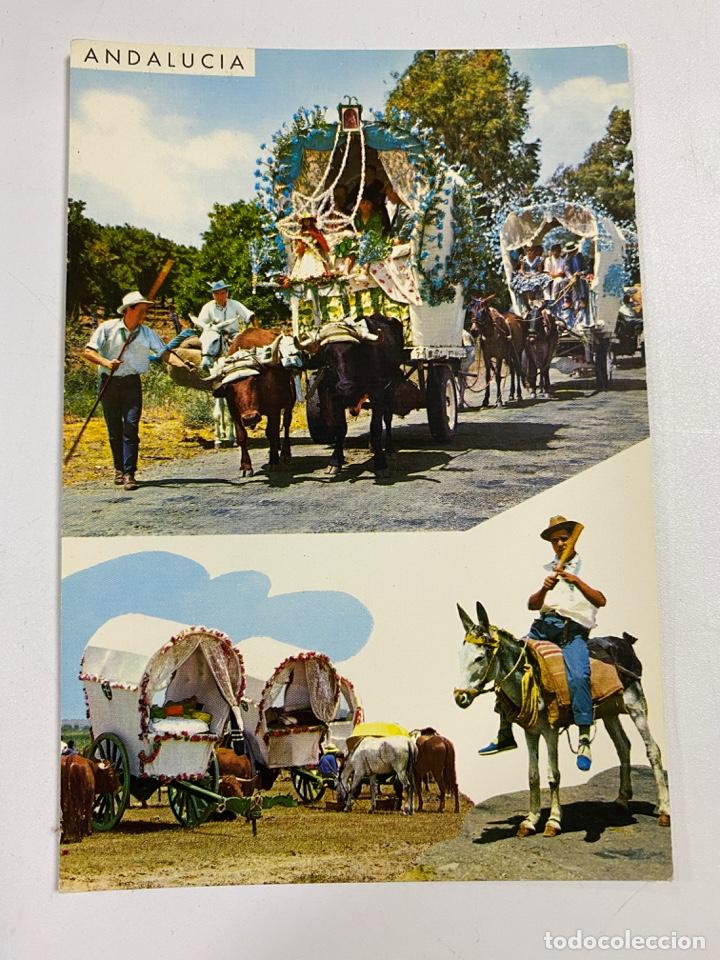 Cartes Postales: TARJETA POSTAL. ANDALUC&Iacute;A. 13.- BELLEZAS DE LA REGI&Oacute;N. GARCIA GARRABELLA Y CIA.