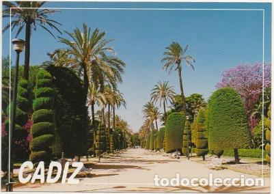 Postales: POSTAL DE CADIZ. PARQUE GENOVES N&ordm; 625 P-ANC-620