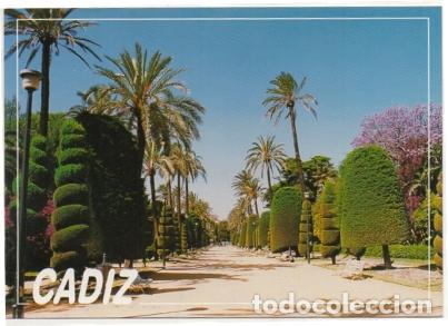 Postales: POSTAL DE CADIZ. PARQUE GENOV&Eacute;S. COL. ELITE N&ordm; 625 P-ANC-626,6