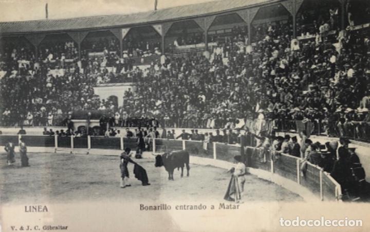 Postales: Postal de La L&iacute;nea C&aacute;diz. - Foto 1